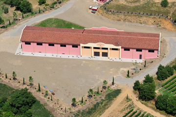 Scansano (Grosseto)